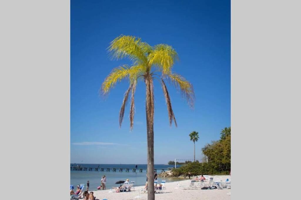 Sea Breeze, 510, Steps Away!+pool+wifi Appartement Ruskin