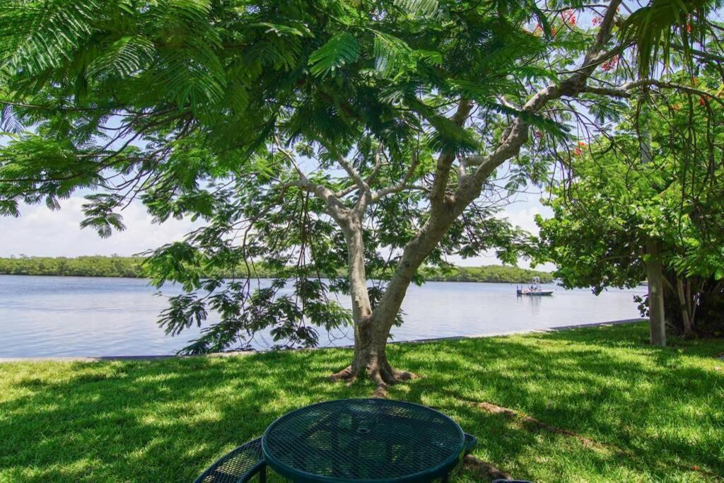 Sea Breeze, 510, Steps Away!+pool+wifi Ruskin